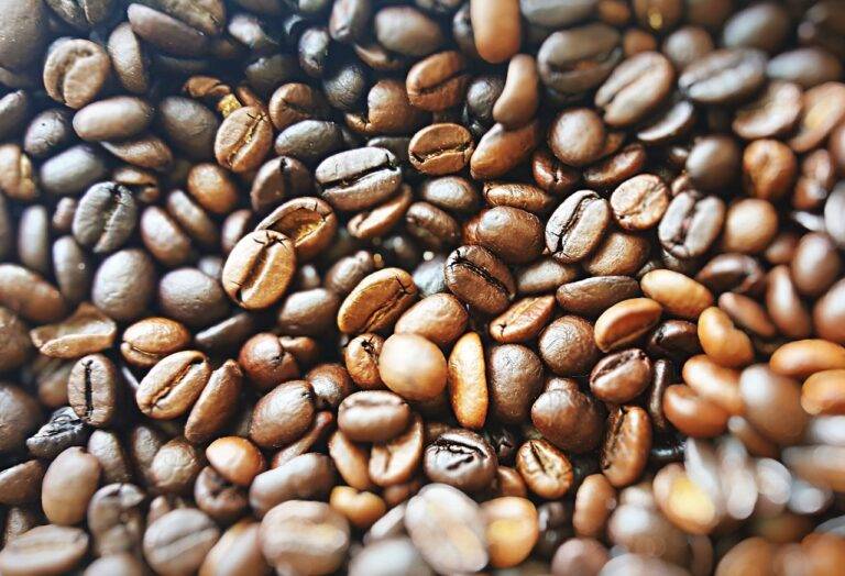 The Health Benefits of Mindful Cooking