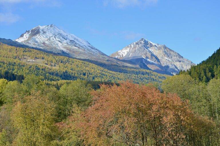 Travel and Climate Change: Addressing Environmental Concerns