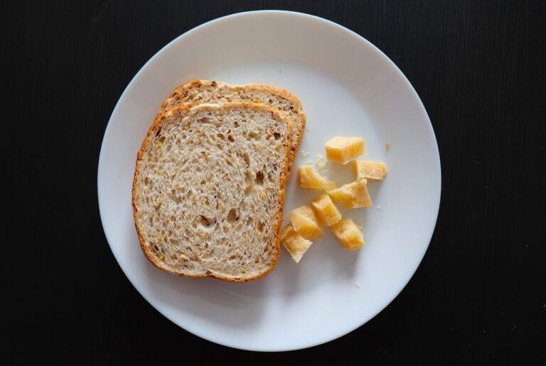 The Future of Algae as a Sustainable Food Source