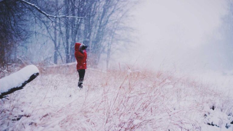 How Is The 11Xplay Login Registration Process Different From Pro?